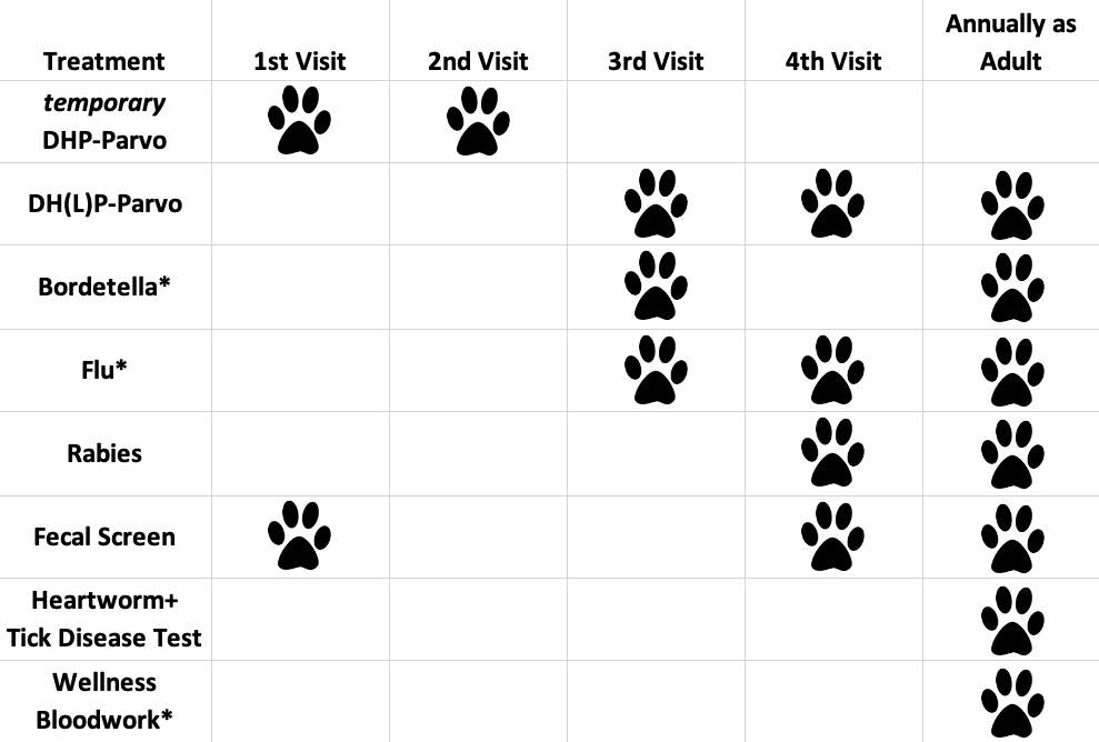 Pet Vaccinations My Best Friend Vet